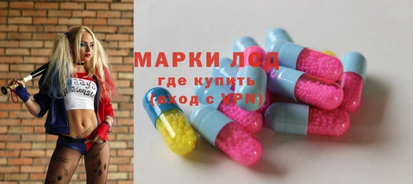 герыч Пересвет