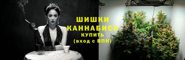 герыч Пересвет