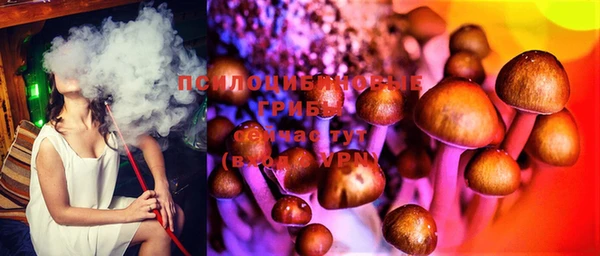 герыч Пересвет